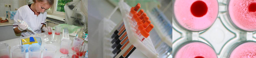 ���������� ����������� ��� ����, ���������� �������������, ������� ���������